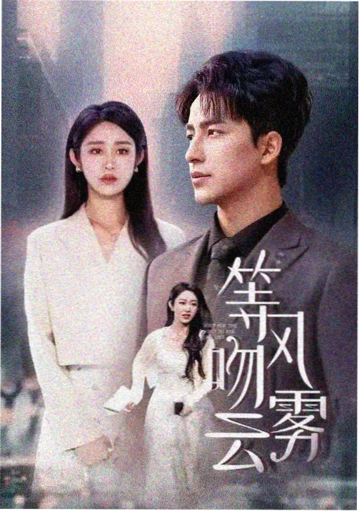 双面律师 一起看电视剧免费软件职场剧